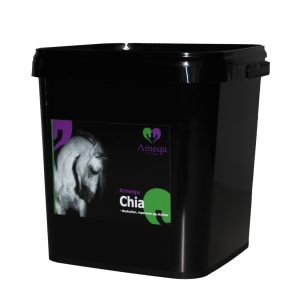 Dangro Amequ Chia