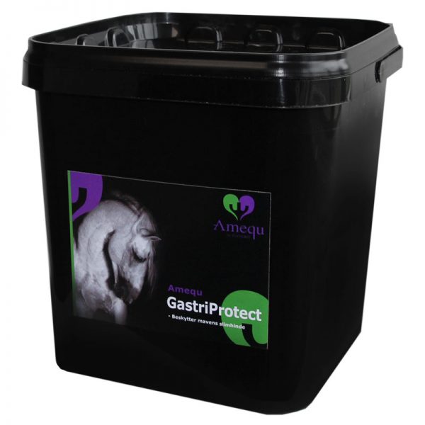 Dangro Amequ GastriProtect