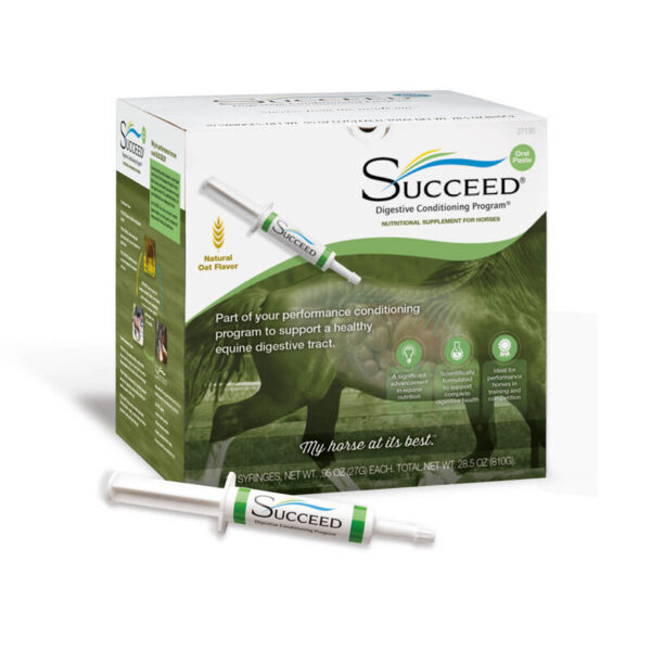 Succeed DC Paste 30 tuber/1kasse