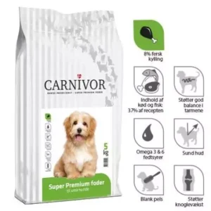 Carnivor - Lille hund