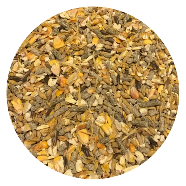 Nordic Chick Mix - Image 2