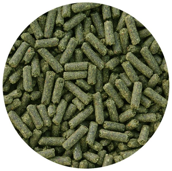 Dangro Amequ LinOcrunch