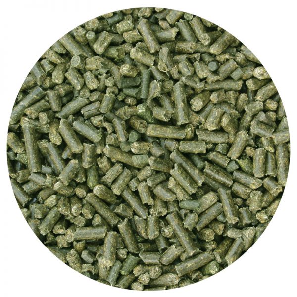 Dangro Amequ Lucernepiller
