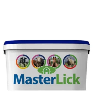 MasterLick High Mag