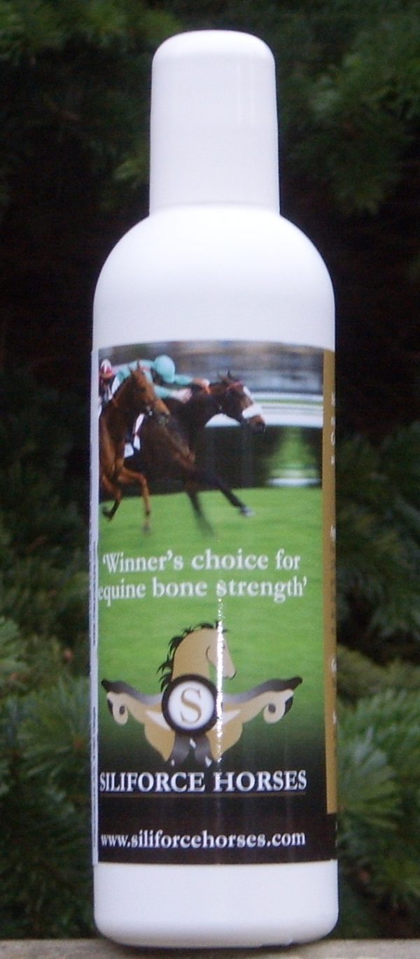 Solanum Siliforce Horses