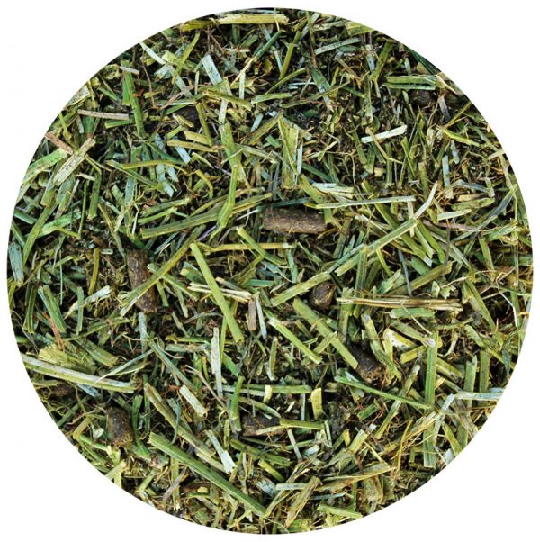 Dangro Amequ Lucerne TopMix Omega-3