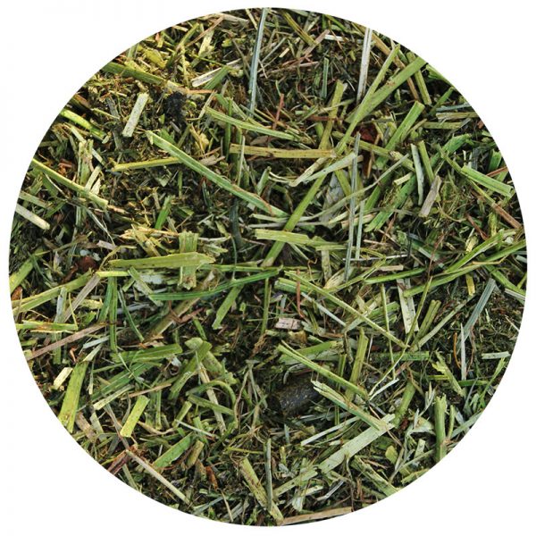 Dangro Amequ Lucerne TopMix Special