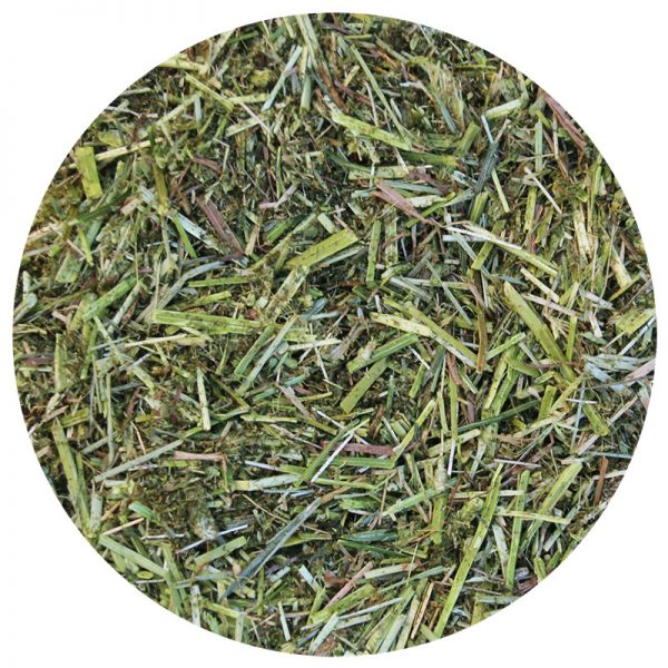 Dangro Amequ Lucerne TopMix Light